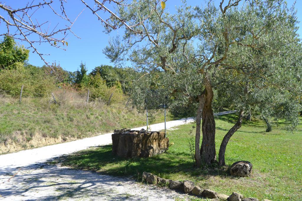 Agriturismo Marano Mengara エクステリア 写真