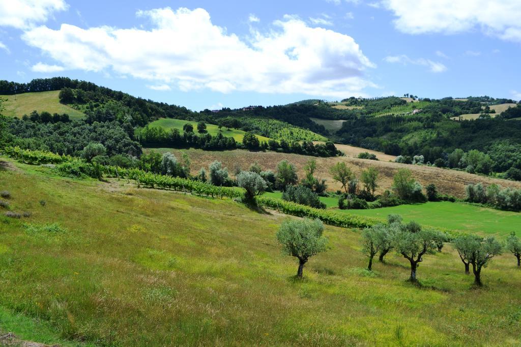 Agriturismo Marano Mengara エクステリア 写真
